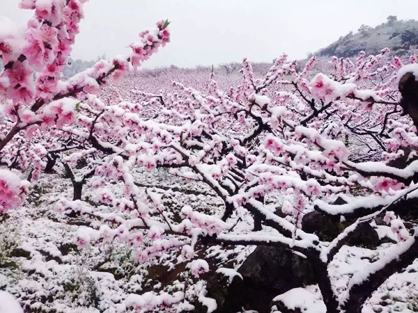 春寒1(大唐石門發(fā)電公司 任敏).jpg