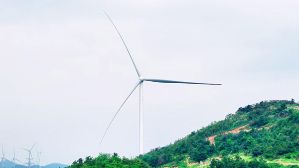 031748937257107414.jpg 新能源_副本.jpg